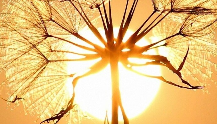 Аномальна спека в Україні буде і восени - метеоролог дав прогноз до початку вересня