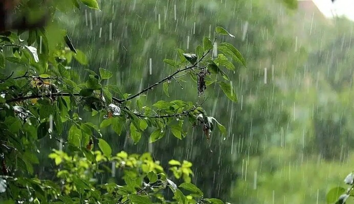 Часть Украины накроют грозовые дожди - названа дата