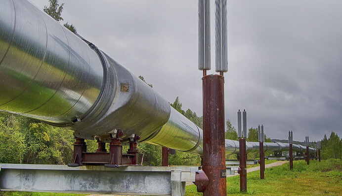 У Bloomberg дізналися, як Угорщина та Словаччина продовжують отримувати російську нафту