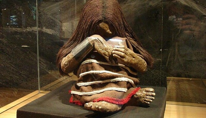 Ученые раскрыли тайну 