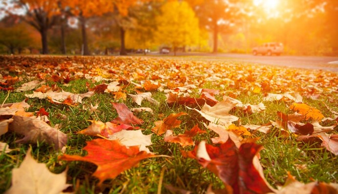 Сентябрь будет аномальным: метеоролог рассказал, когда придет похолодание