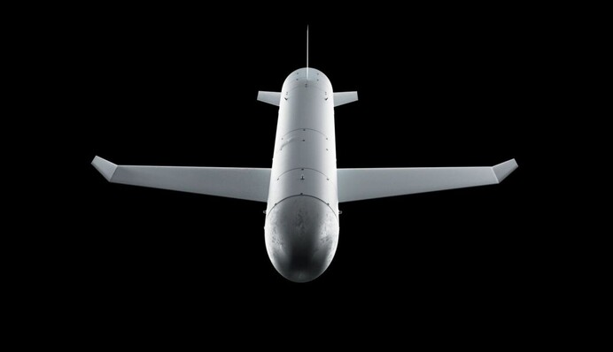 Розкрито подробиці першого застосування ракети-дрона «Паляниця»