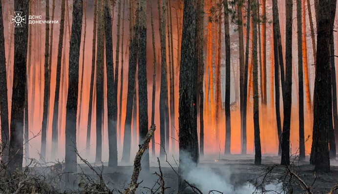 Масштабный лесной пожар произошел в Донецкой и Харьковской областях