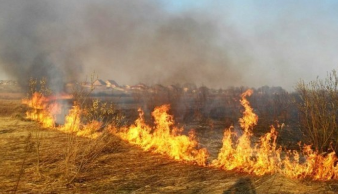 У Чорнобильській зоні спалахнула пожежа: який радіаційний фон