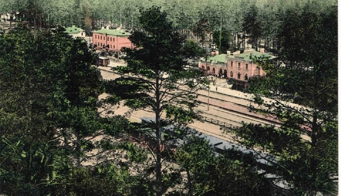 Наче казковий будинок у дикому лісі: як колись виглядав Дарницький залізничний вокзал