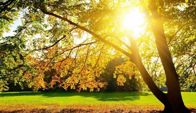 Синоптик дала прогноз погоды в Украине в пятницу