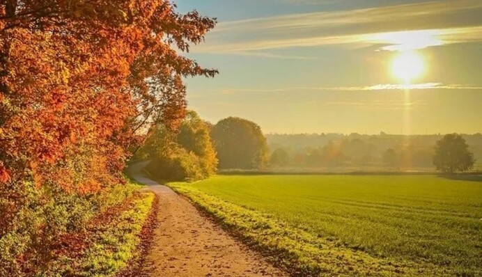 Погода в Украине будет определять антициклон Quentin: синоптики дали прогноз на 8 сентября