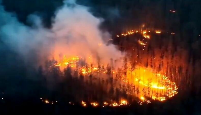 Dragon Drones: CNN розповів про нову нищівну зброю ЗСУ