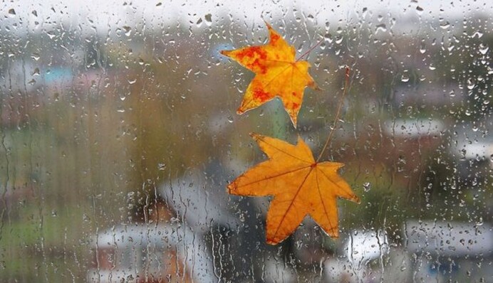 Температура упадет до +9: Украину накроет волна похолодания