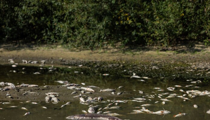 "Київводоканал" зробив важливе уточнення щодо загрози забруднення питної води