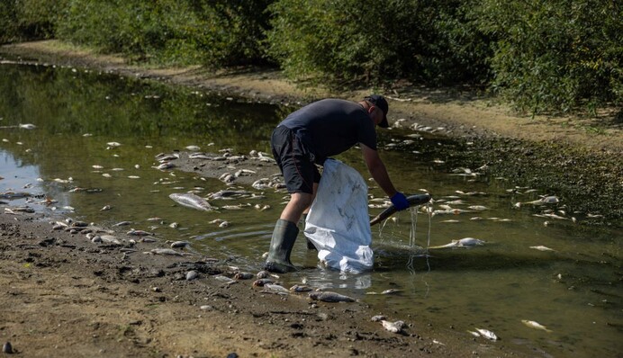 Забруднена вода з Десни вже досягла Київської області