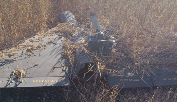 Пограничники показали сбитый в небе над Сумщиной «Shahed», что не сдетонировал после падения