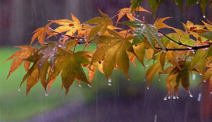 Диденко на фоне стихийных бедствий в ЕС успокоила украинцев