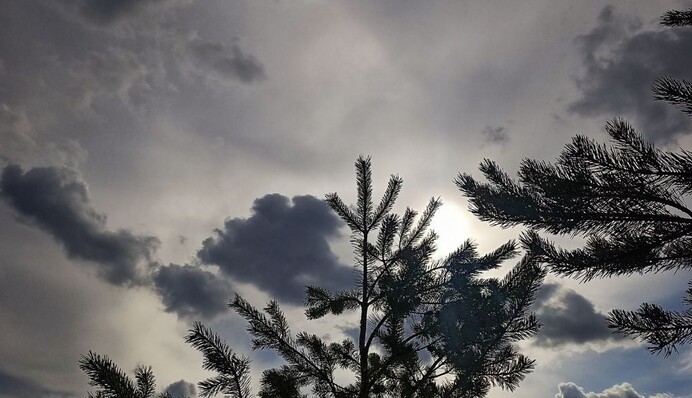 В Украине ожидаются дожди с грозами и минусовая температура