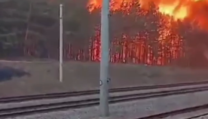 Пожежі в Україні: Укрзалізниця змінила маршрути деяких поїздів