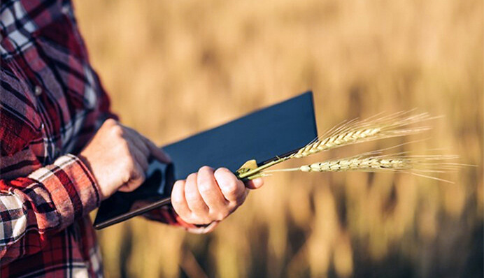 В Раде поддержали законопроект о государственном аграрном реестре: чем он важен для украинских аграриев