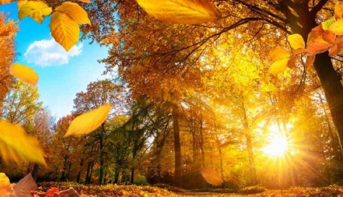 В Україну ще повернеться 30-градусна спека: синоптики назвали дати