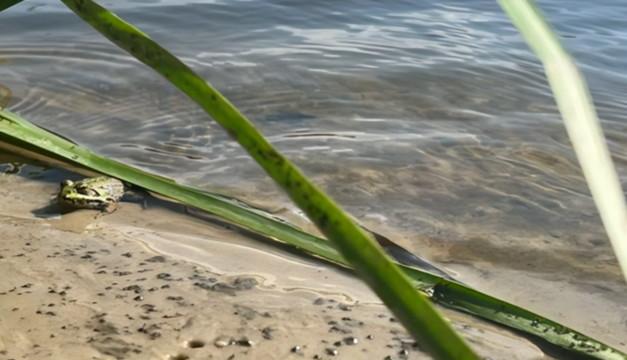 В Міндовкіллі оновили інформацію щодо забруднення води в Сеймі та Десні