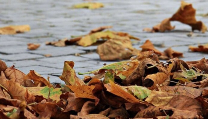 Літо в Україні триває: де в неділю буде найтепліше