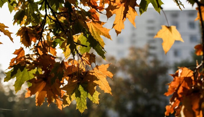 Аномально тепла погода: з'явився прогноз до кінця вересня