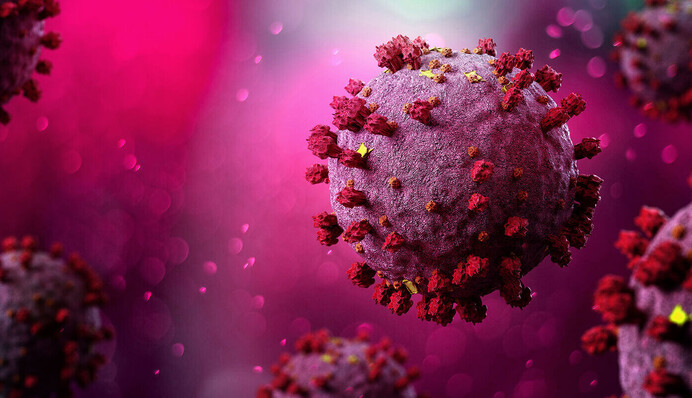 Летучие мыши реабилитированы? Ученые обнаружили новые данные о происхождении COVID-19