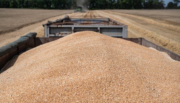 Испанские фермеры протестуют против чрезмерного импорта украинского зерна