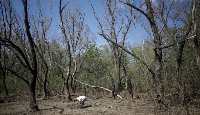 Російський безпілотник знову залетів до Румунії