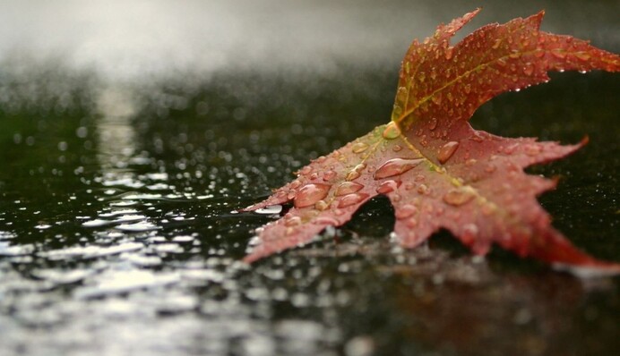 Украинские синоптики дали прогноз на пятницу и предупредили об опасности