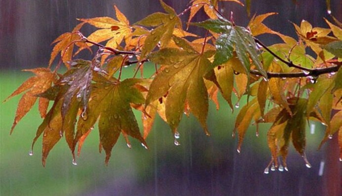 Синоптик предупредила о резком изменении погоды в Украине