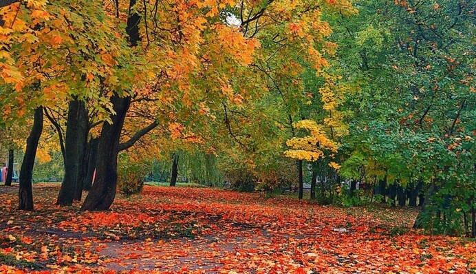 Ситуация очень печальная: синоптик рассказала, когда в Украине ждать дождей