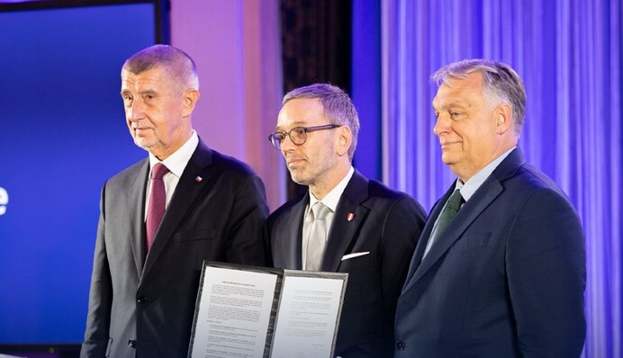 В Австрии на парламентских выборах побеждают ультраправые