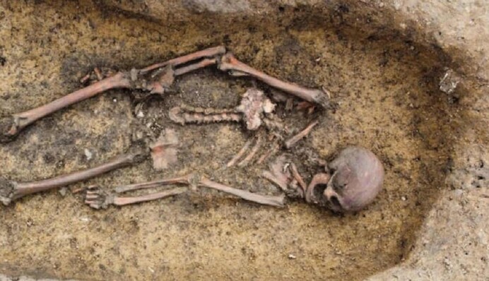 Археологи нашли 50 скелетов датских викингов в невероятно хорошем состоянии