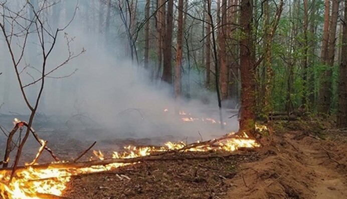 У Ростовській області ввели режим НС: причини