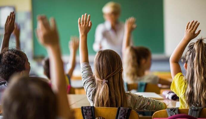 Украинцы за границей: сколько детей продолжили обучение в украинских школах