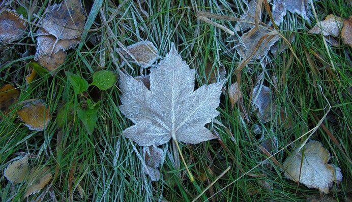 Синоптики попередили українців про заморозки та мінусову температуру