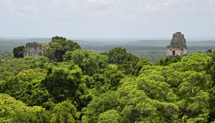 Космические археологи обнаружили неизвестные руины цивилизации майя