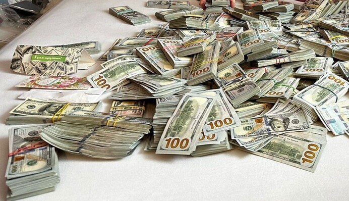 Дві сумки з грошима викинули у вікно: у керівниці МСЕК та її сина-чиновника знайшли майже $6 млн готівкою