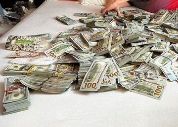 Две сумки с деньгами выбросили в окно: у руководительницы МСЭК и ее сына-чиновника нашли наличными почти $6 млн