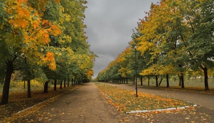 Синоптик дала українцям прогноз на вихідні та попередила про серйозну небезпеку