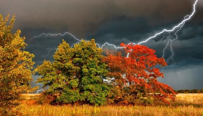 Справжня осінь: синоптик дав прогноз на новий тиждень