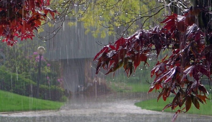 В Украину идет новая волна дождей с грозами - когда ждать непогоды