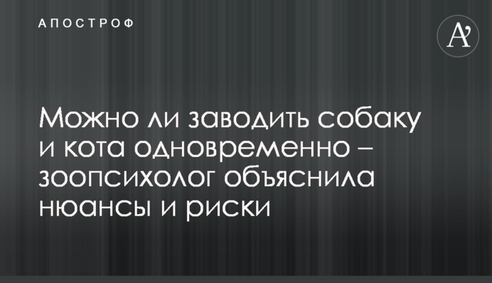 Можно ли заводить собаку и кота одновременно – зоопсихолог объяснила нюансы и риски