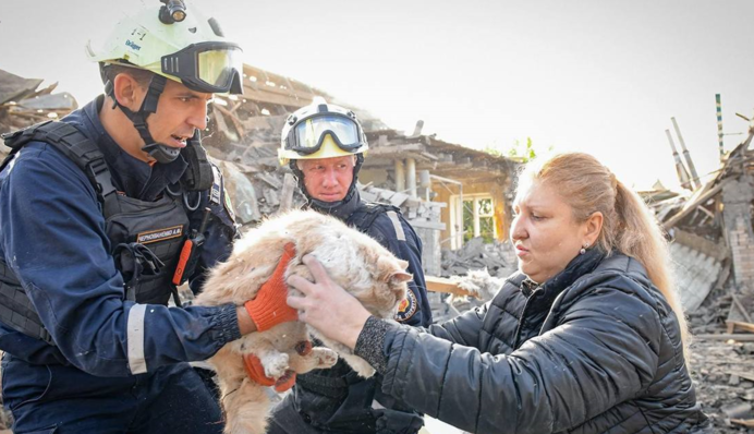 Поліція показала, як рятували тварин з-під масштабних завалів у Запоріжжі