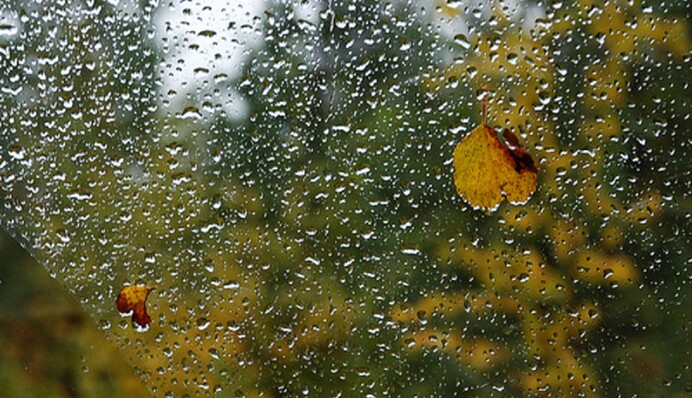 Укргидрометцентр предупредил об опасности І уровня в семи областях: что ждать от погоды