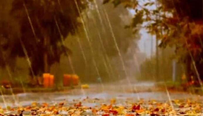 Україна в полоні дощів і гроз: де чекати негоду в неділю