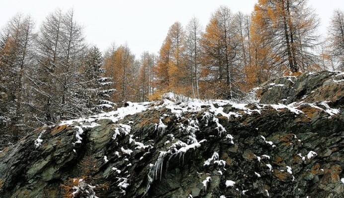 Заморозки, мокрий сніг і вітер: синоптики розповіли, як почнеться новий тиждень