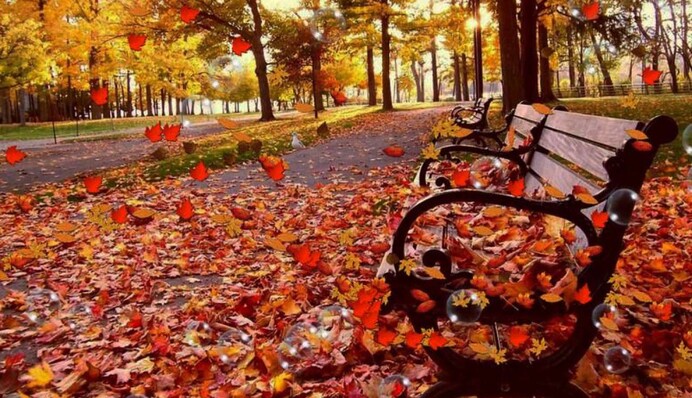 После похолодания в Украину еще вернется тепло: синоптики назвали даты