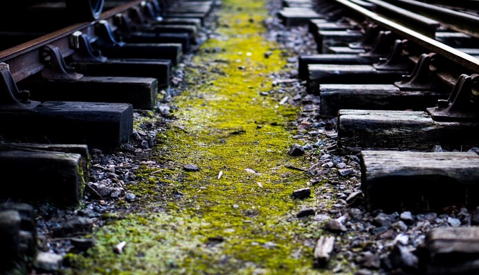 В Чернігівській області група підлітків на замовлення ФСБ палила об'єкти Укрзалізниці