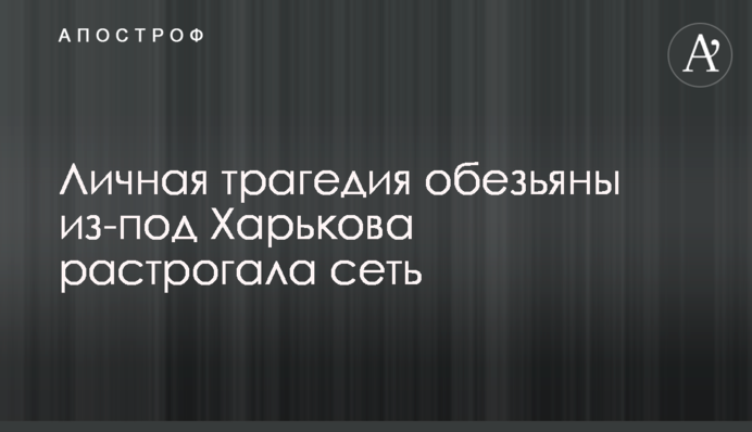 Особиста трагедія мавпи з-під Харкова розчулила мережу