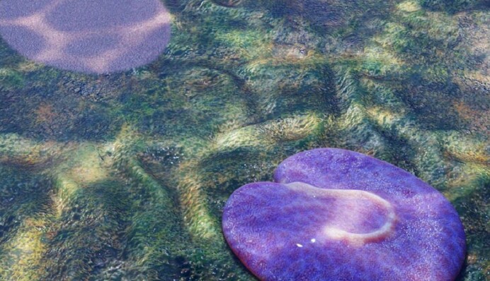 В Австралии нашли одно из самых древних животных на Земле